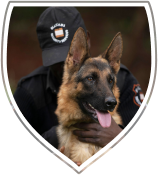 home_security_offer1 (1)